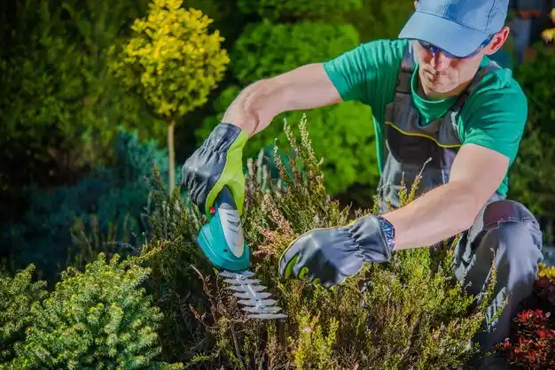 landscaping services Farley